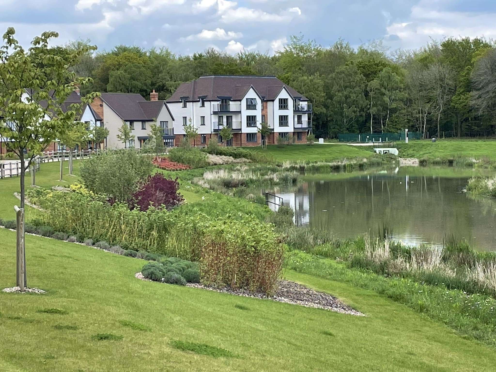Luxury apartment building by a pond